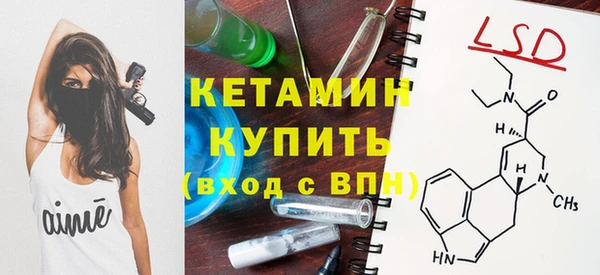 сатива Осташков